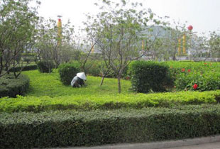 南京绿地托管