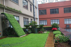 屋顶垂直绿化服务