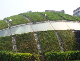 南京垂直绿化